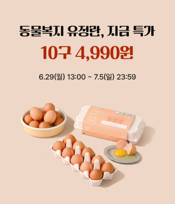팝업 이미지